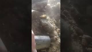 GOLD MINING.  ON THE GOLD #goldmining #river #goldrush