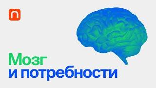 Мозг и потребности — курс Вячеслава Дубынина / ПостНаука