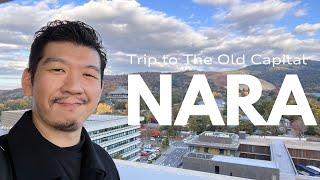 Discover Nara : Top Things to See, Eat and Tips【The Old Capital #1】