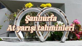 10 Mart 2025 Pazartesi Şanlıurfa at yarışları tahmin , Horse Turk altılı ganyan