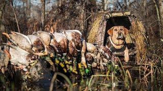 Arkansas Flooded Timber Duck Hunting - Fowled Reality