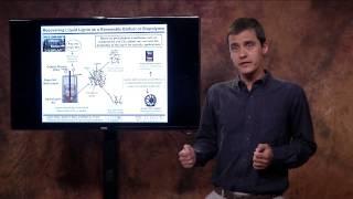 Clemson University 3-Minute Thesis 3rd Place (tie), 2014, Julian Velez (Chemical Engineering)