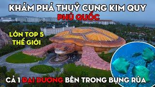 [[Phú Quốc]] Khám Phá Thuỷ Cung Kim Quy Siêu Khổng Lồ - Cả 1 "Đại Dương" Bên Trong Bụng Rùa!!