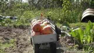 RC Tractor. Simulakr (part 5), Expedition of Martians on a planet the Earth for apples...