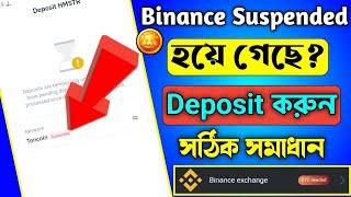 Binance Suspended Hamster | Binance Toncoin Network Suspended | Hamster Binance Exchange Add