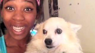 Taking Selfies With Your Pets - Vine