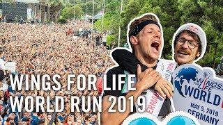 Wings for Life World Run Highlights 2019