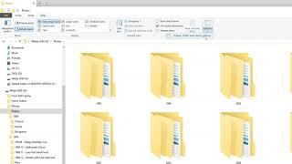 Windows 10 - Set Default View to Large Icons for current folders and its subfolders