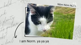 Norm Chill Hop