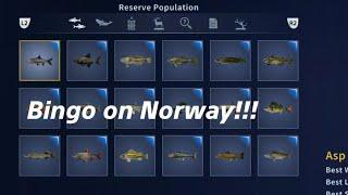 Bingo on Norway Reserve!Call of the Wild: The Angler