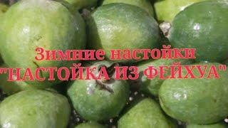 Зимние настойки. Фейхуевая настойка!!! Ну ооооочень полезная!!!!