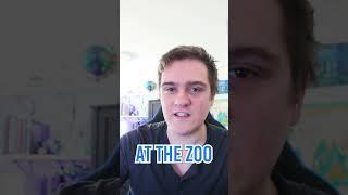 Jawed's DELETED YouTube Videos REVEALED!