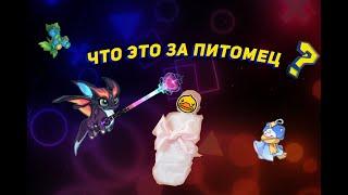 Полный гайд про питомцев в Legend of mushroom. |+ Советы по выведению для Арбалетчика.