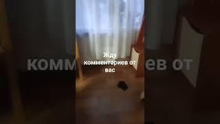 если хотите можете написать комментарий под любым видео