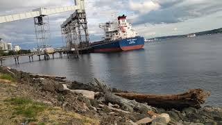Olympic Sculpture Park to Smith Cove Cruise Terminal at Pier 91, WA