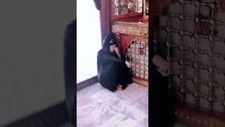 FAIZA ALI || ABEER HD OFFICIAL