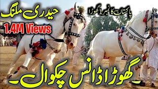 Horse Dance Jashn e Baharan Chakwal  | Fakhr e Chakwal Haideri Malang Horse | Ghora Nach 2023