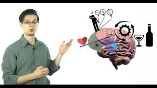 The Addicted Brain | Science of Addiction | Detox to Rehab