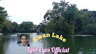 Swan Lake at Botanic Garden, Singapore: Lyin Eyes Official