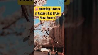  Blooming Flowers in Nature’s Lap | Pure Floral Beauty by NaturalBeauty349