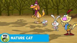 NATURE CAT | The Winter Solstice! | PBS KIDS