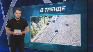 ПОЗОР в Курской области: Российский БТР сам подъехал под удар украинских танков! | В ТРЕНДЕ