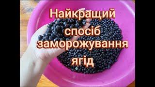 НАЙКРАЩИЙ СПОСІБ ЗАМОРОЖУВАННЯ ЯГІД ТА ФРУКТІВ НА ЗИМУ. THE BEST WAY TO FREEZE BERRIES AND FRUITS