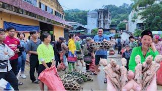 Độc Đáo Chợ Phiên Bảo Lâm | Bày Bán Toàn Đồ Lạ Có Cả Hình Ng. kh.o.ả Th.ân-Lợn Bản Trâu Bò Siêu  Rẻ