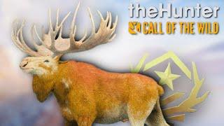 *FINALLY* The Great One | Hypifed | theHunter : call of the wild