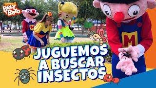 Juguemos A Buscar Insectos - Bely y Beto