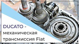 FIAT DUCATO Ремонт КПП, механическая трансмиссия Fiat Ducato