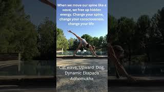 Yoga Flow that will Change my Life Forever ‍️