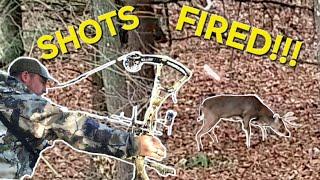 2024 Ohio Deer Hunting...SHOTS FIRED!!!...Bonus Euro Mount.