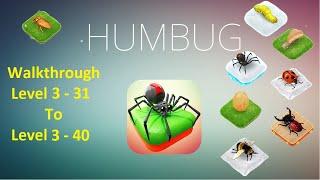 Humbug Walkthrough Level 3 - 31 To Level 3 - 40