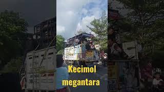 kecimol megantara Lombok Indonesia #short