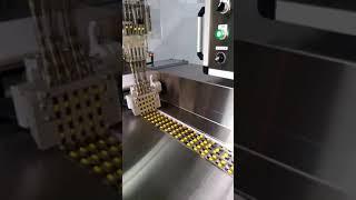 KW-B2 Blister Packing Machine - Capsule feeder with Orientation - ALLMA.NET