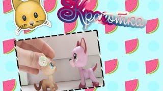 Littlest Pet Shop: Pretty (Episode#2)