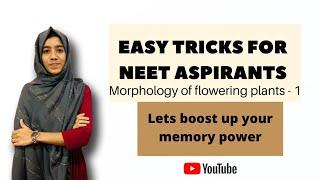 EASY TRICKS FOR NEET | BIOLOGY | Morphology of flowering plants | PART 1