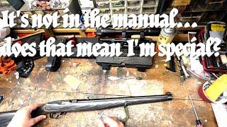 Ruger 10/22 Mannlicher Stock - Endcap Removal for Cleaning