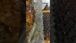 Honeycomb Porn #asmr #honey #shorts
