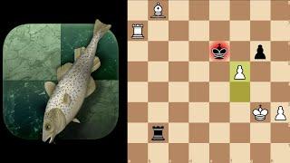 Stockfish vs LCZero | Round-2 | TCEC Season 27 - Superfinal 2024