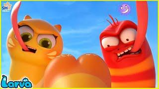 LARVA SEASON 3 EPISODE 276~ 377 NEST VERSION LARVA 2024 | COMICS | MINI SERIES FROM ANIMATION LARVA