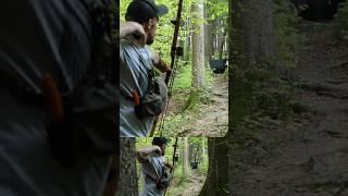 Forgiving and Fast - #3Darchery with my Tisa River Longbow #traditionalarchery