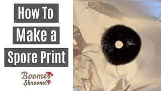 How to Make a Spore Print