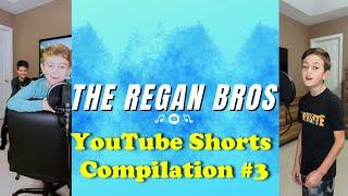 The Regan Bros Singing Compilation 3