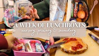 CHILDRENS PACKED LUNCH IDEAS: mum of six, snacks, lunches, school