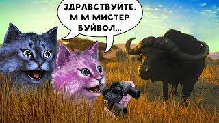 ЛЕО - ЦАРЬ ЗВЕРЕЙ? ДИКАЯ САВАННА В РОБЛОКС! roblox Wild Savanna