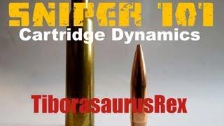 Long Range 101 Part 2 - Cartridge Dynamics - Rex Reviews