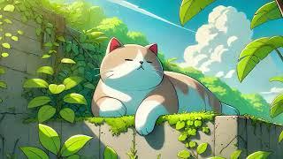 Lofi With My Cat || Cat & The Morning Vibe Chill/Sleep/Healing [ Lofi Mix - Lofi Songs ]