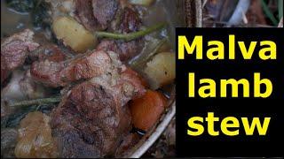 Bushcraft solo cooking ASMR "malva sylvestris"-dakota fire,lamb stew,tarp line